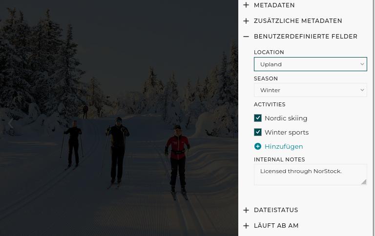 Metadaten-Editor für benutzerdefinierte Felder eines Bildes
