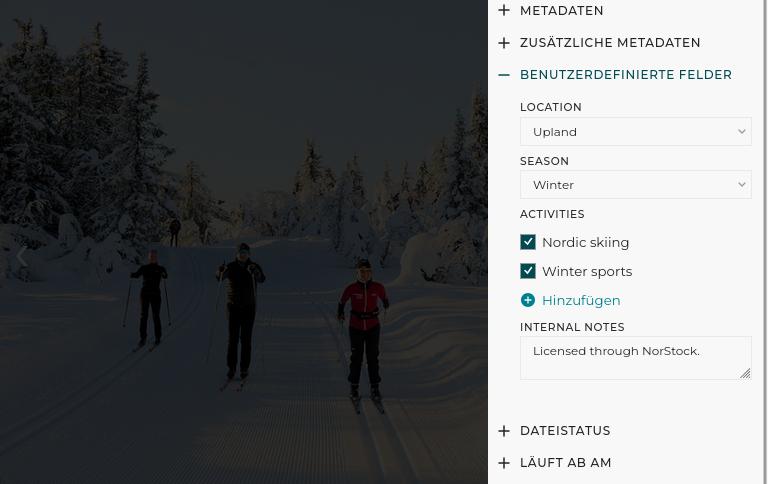 Metadaten-Editor für benutzerdefinierte Felder eines Bildes