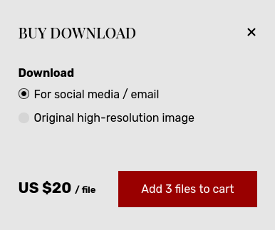 Adding all images to the cart at once