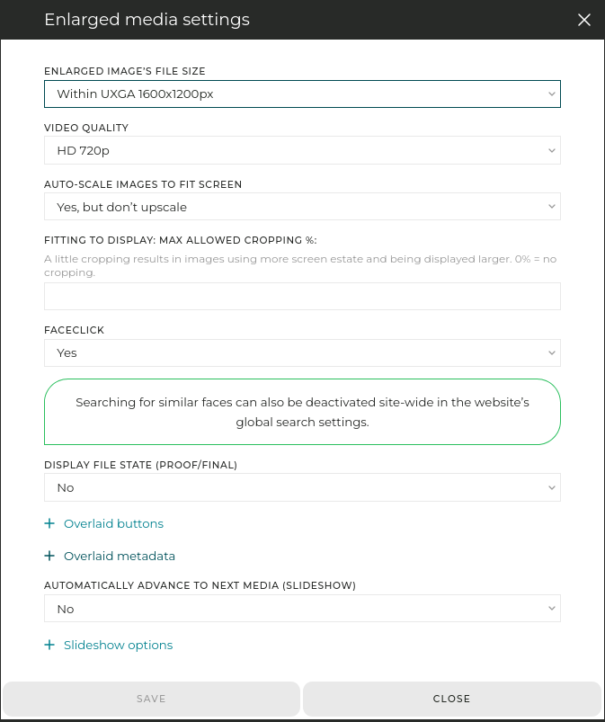 Like for the thumbnails, the tool offers many options to customize how the images/videos are displayed.