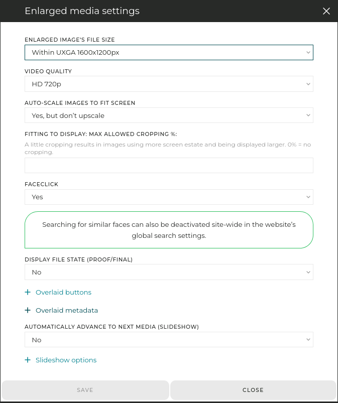 Like for the thumbnails, the tool offers many options to customize how the images/videos are displayed.