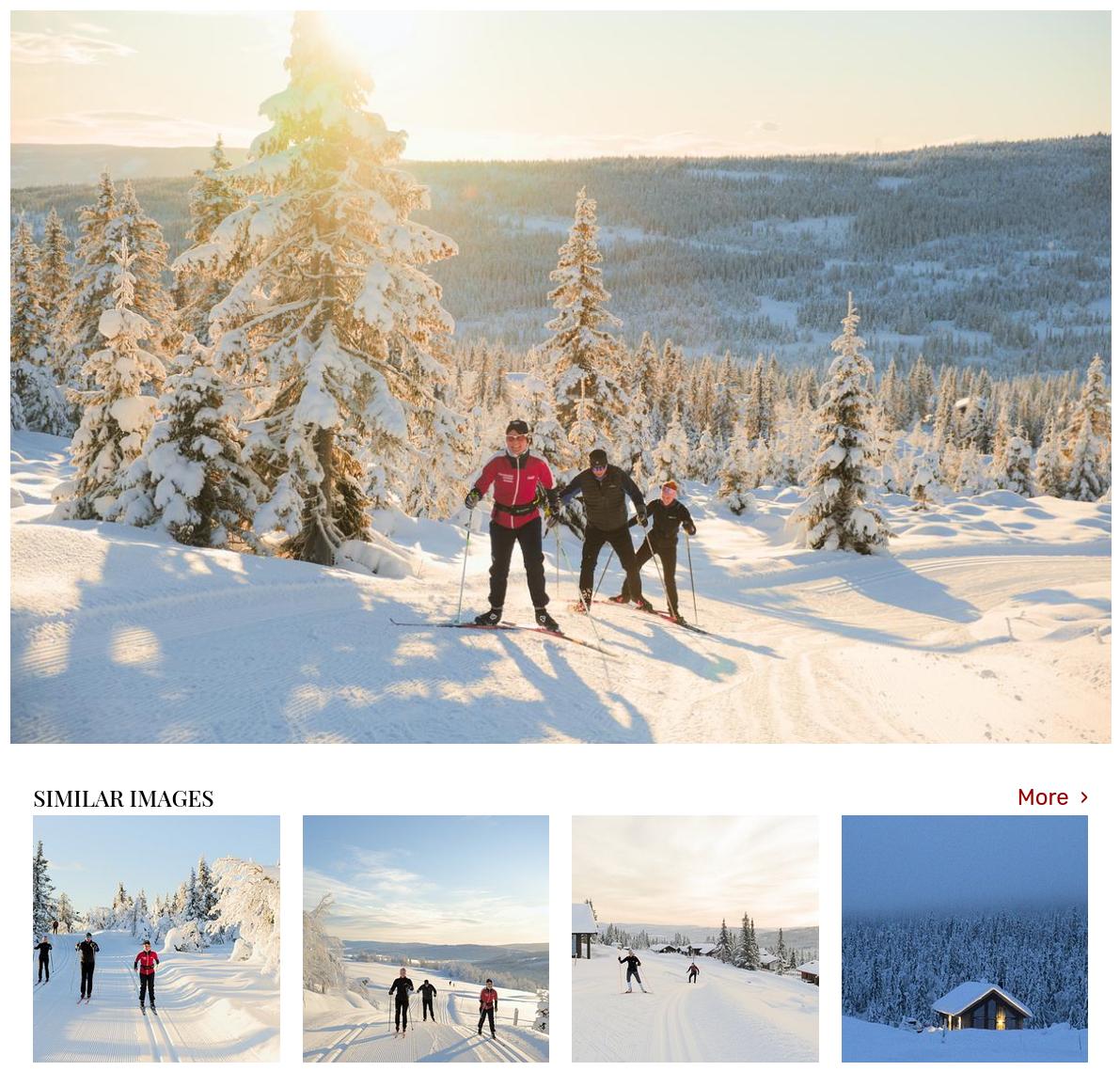 Similar Images carousel shown under an image