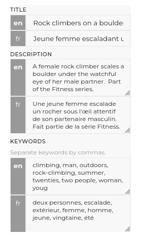multilingual metadata