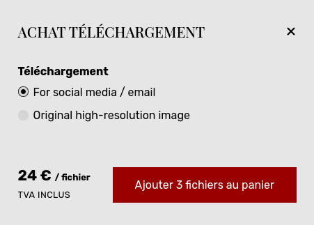 Ajout en bloc de toutes les images dans le panier