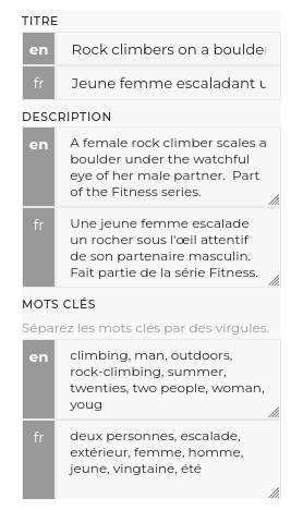 métadonnées multilingues