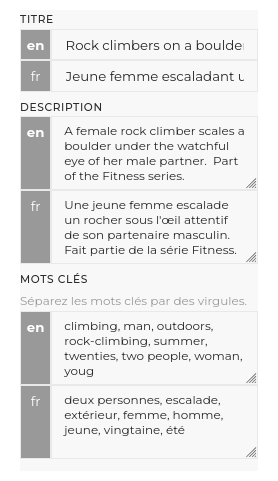 métadonnées multilingues