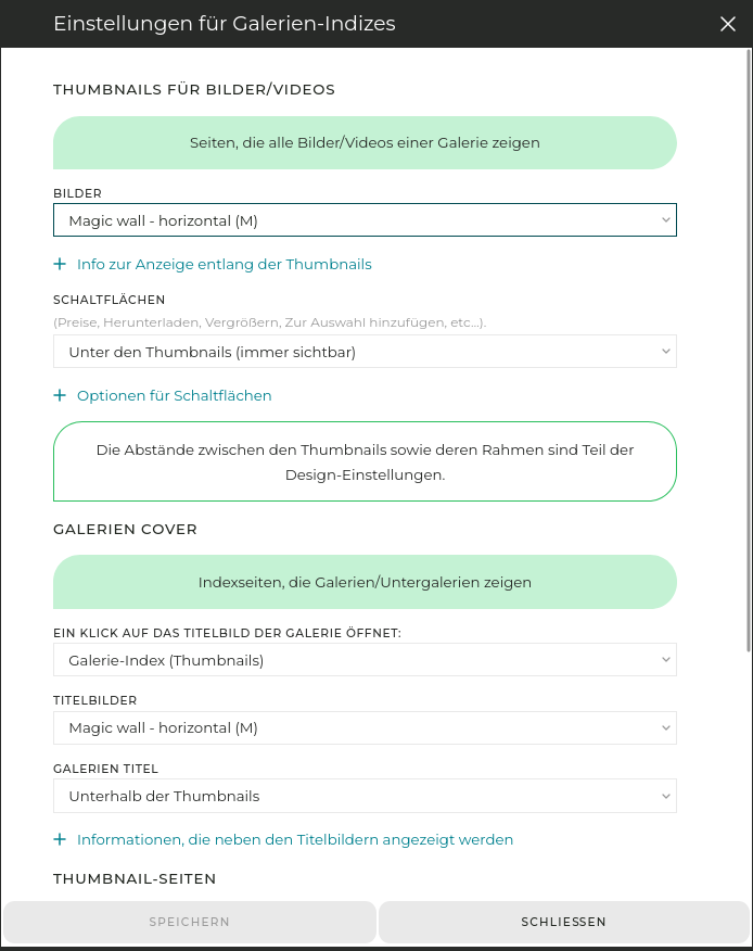Ein Doppelklick auf das Thumbnail-Element öffnet dessen Einstellungen