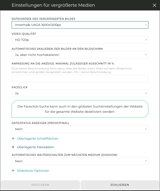 Wie bei den Thumbnails bietet das Tool viele Optionen, um die Anzeige der Bilder/Videos zu individualisieren.