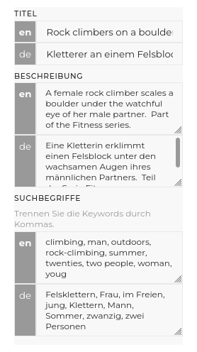 multilingual metadata