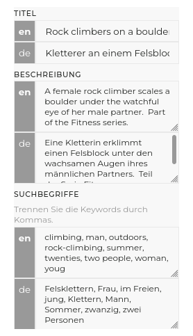 multilingual metadata