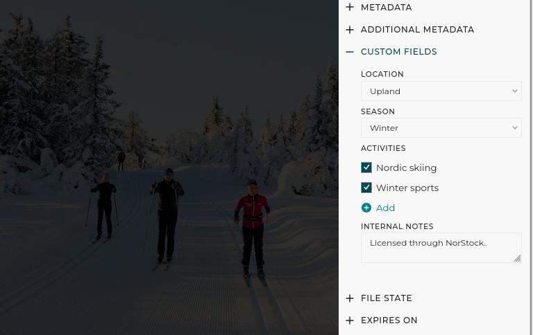 Custom field metadata editor for an image
