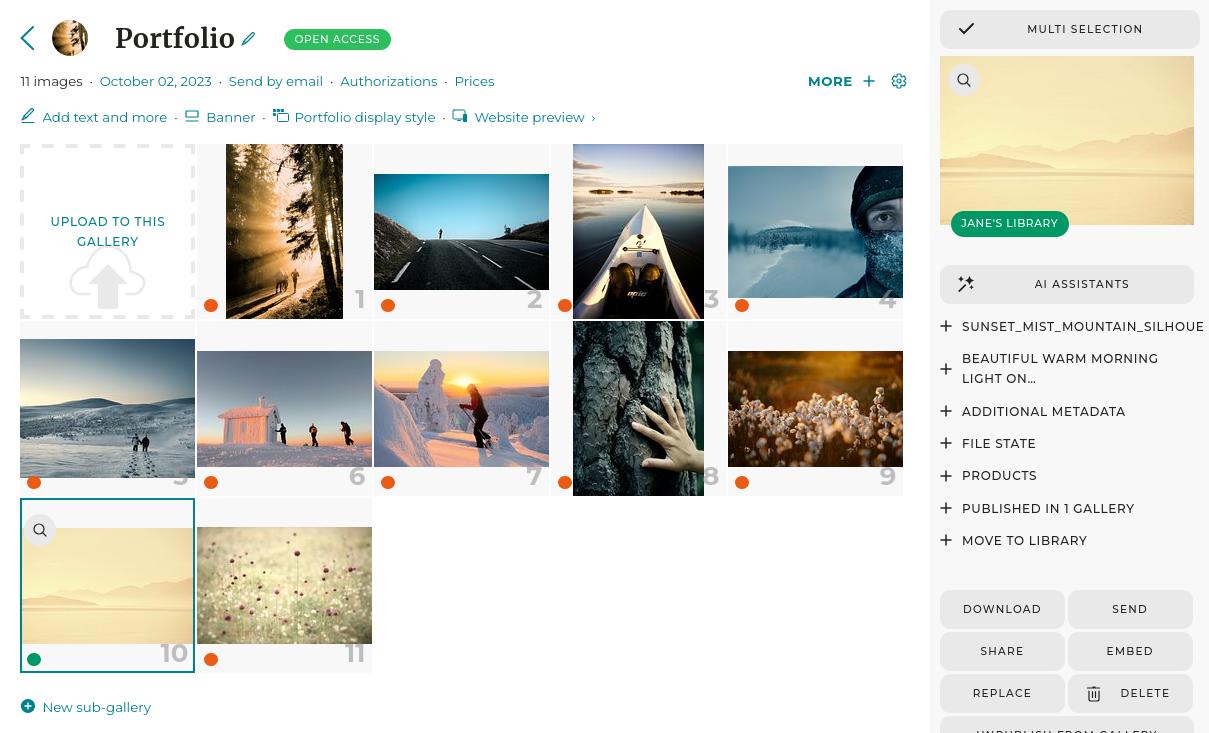 Media from different libraries can be published on the same galleries. The colored tag indicates what library each media belongs to. 