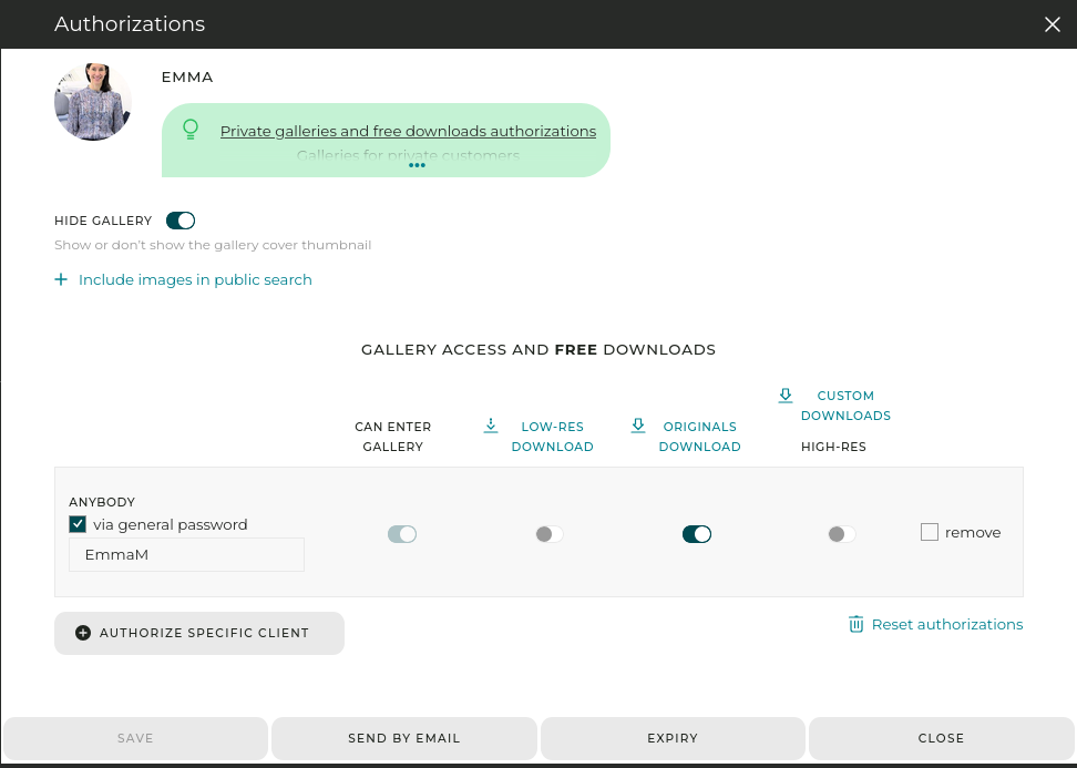 In this example, a general password is required to enter the gallery, and free high-res download is enabled.
