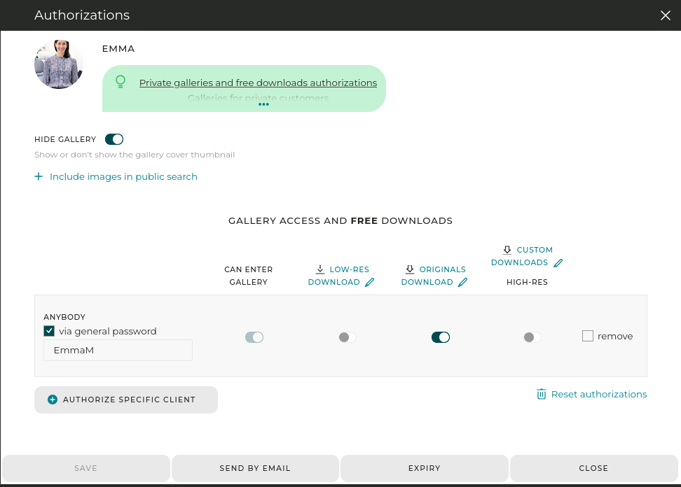 In this example, a general password is required to enter the gallery, and free high-res download is enabled.