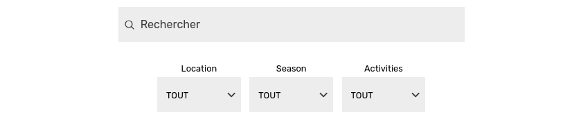 Formulaire de recherche incluant des champs personnalisés sur un site web