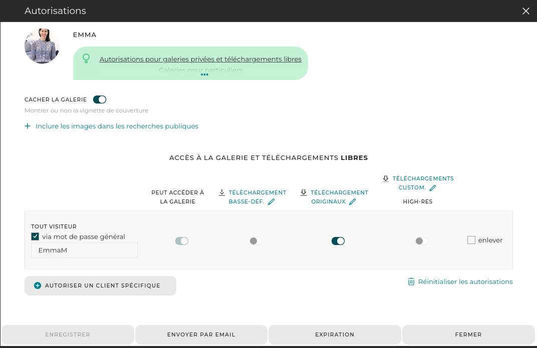 Dans cet exemple, un mot de passe général est requis pour entrer dans la galerie, et le téléchargement libre en haute-def est activé.