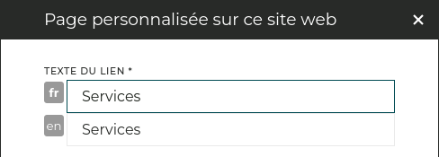 Un lien de navigation en anglais et français.